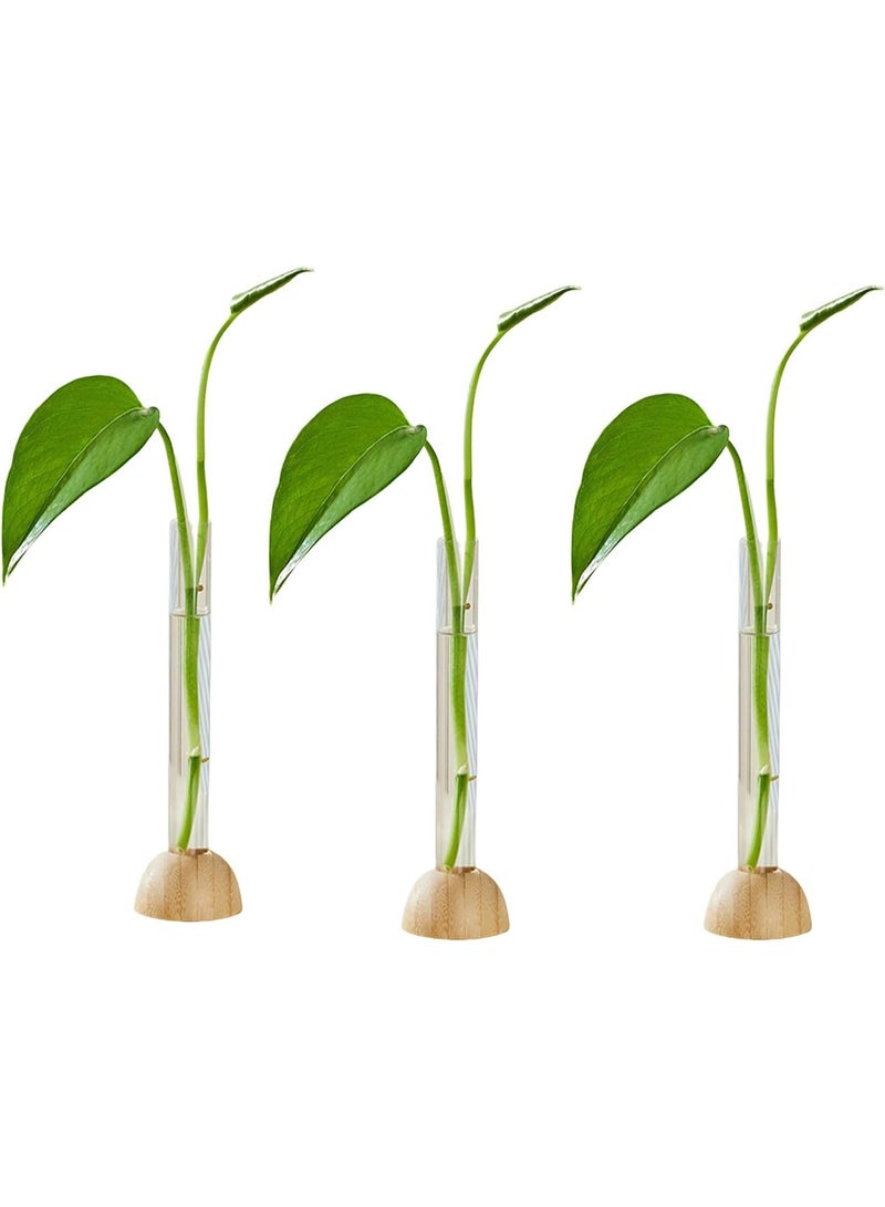 Arabest Test Tube Plants Terrariums in Wooden Stand, Plant Propagation Tubes,3 Mini Flower Vase Home Office Desk Decor - Image 1